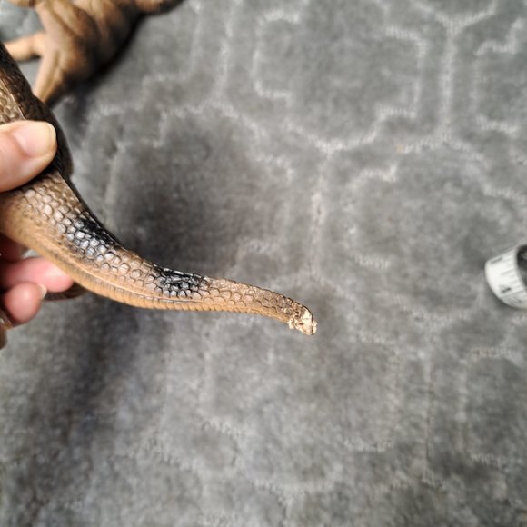 DINOSAURS LOT OF 2 CHINA TYRANNOSAURUS REX DINOSAUR PLASTIC TOY PLAY REALISTIC - Picture 8 of 9